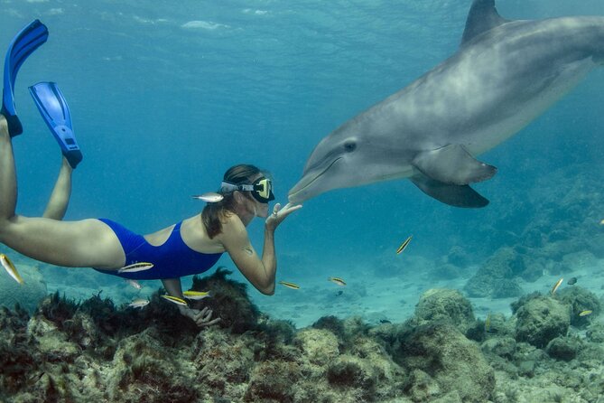 Dolphin House Snorkeling Trip & Water Sports with Lunch -Hurghada - At a glance: what matters most