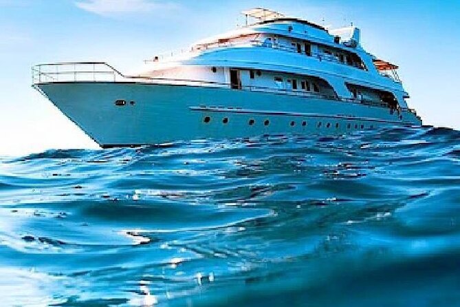 Dolphin House Snorkeling Trip & Water Sports with Lunch -Hurghada - The crew and the feel of the day