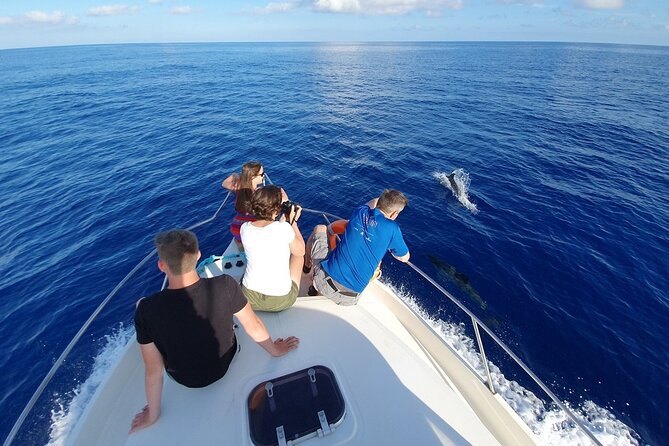 Dolphin house Snorkeling trip with Banan & Sofa Boat in Hurghada - Setting out from Hurghada at 8:30 in the morning