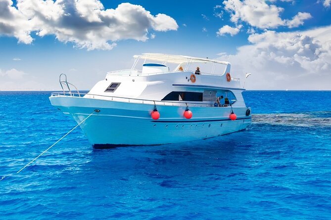 Dolphin house Snorkeling trip with Banan & Sofa Boat in Hurghada - Who will enjoy this boat trip most