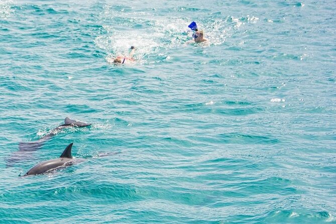 Dolphin House Snorkeling,Water Sports, Lunch & Transfer- Hurghada - Who Will Enjoy This Hurghada Boat Trip?