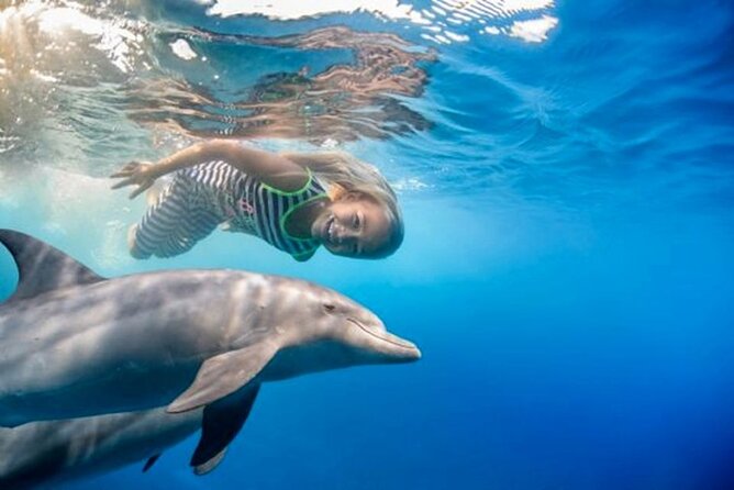 Dolphin House with Snorkeling in Hurghada - Access, age limits, and who will enjoy it