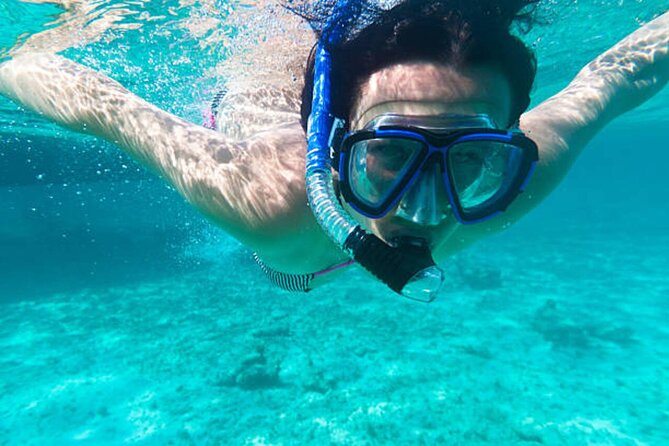 Dolphin House With Snorkeling & Lunch -Hurghada - Two snorkeling stops among coral and fish
