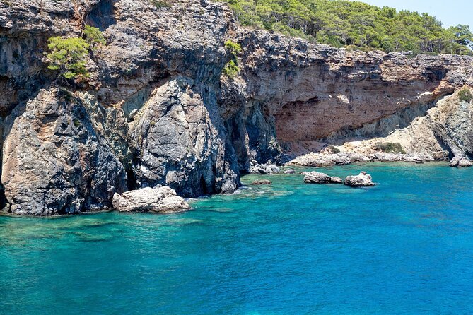 Dolphin Island Boat Trip – Swim, Sun & Lunch Included - Music, foam, and the Baba Boat personality