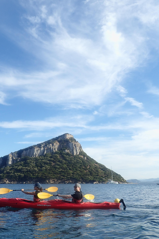 Dolphin Kayak Safari at Sunset at Golfo Aranci - Starting at Prima Spiaggia in Golfo Aranci