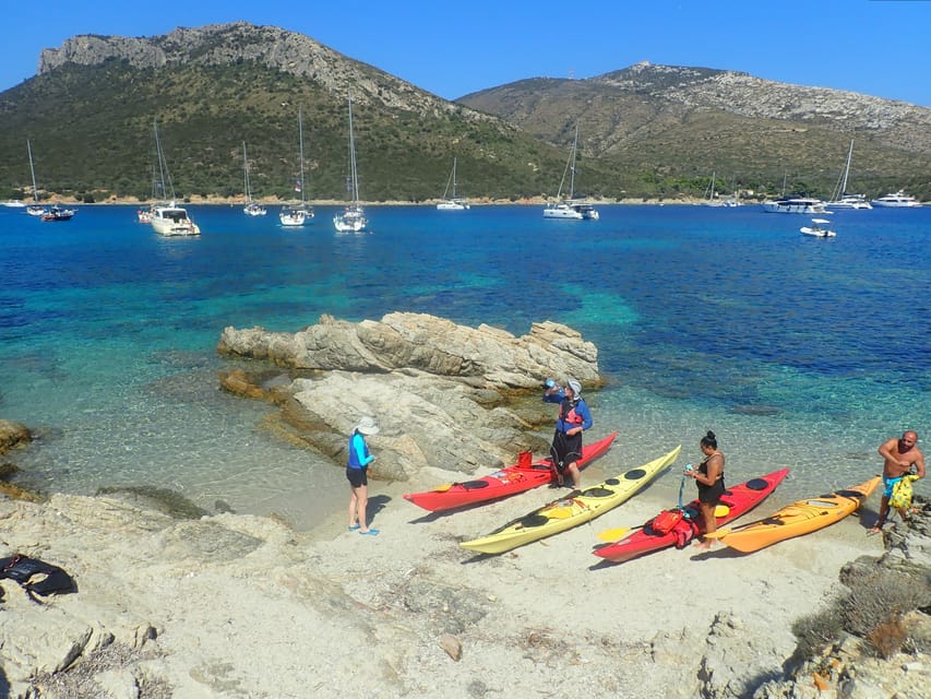 Dolphin Kayak Safari at Sunset at Golfo Aranci - What the $62 price includes