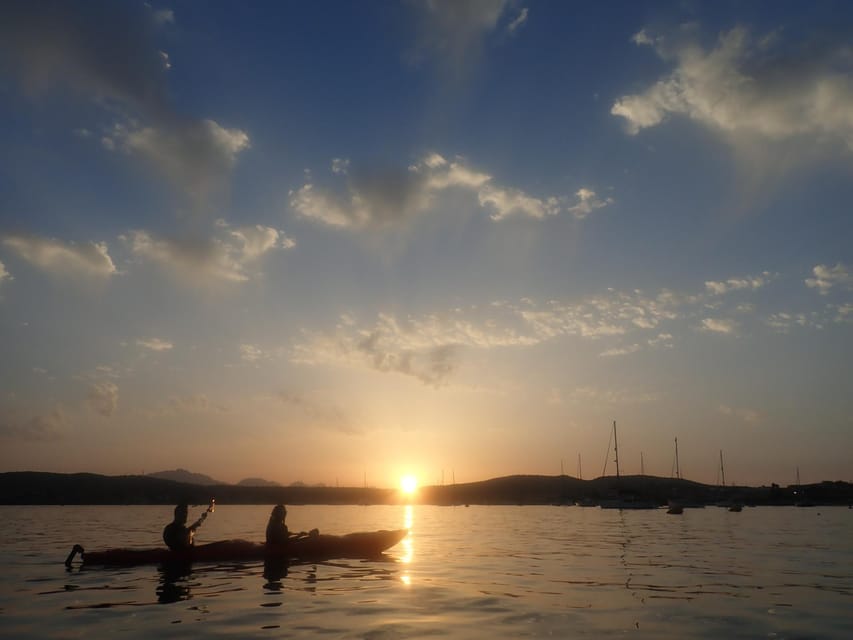 Dolphin Kayak Safari at Sunset at Golfo Aranci - Who will enjoy this outing most