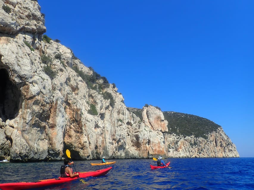 Dolphin Kayak Safari at Sunset at Golfo Aranci - Practical preparation for a smoother evening