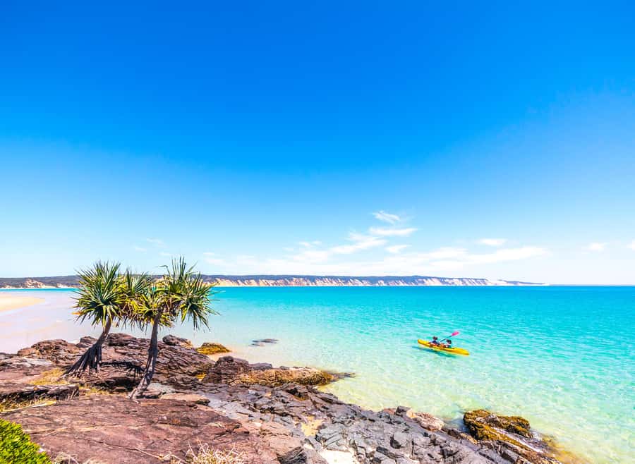 Dolphin Kayak Tour & Beach 4X4 National Park Tour (Private) - Marine life, coastal plants, and local stories