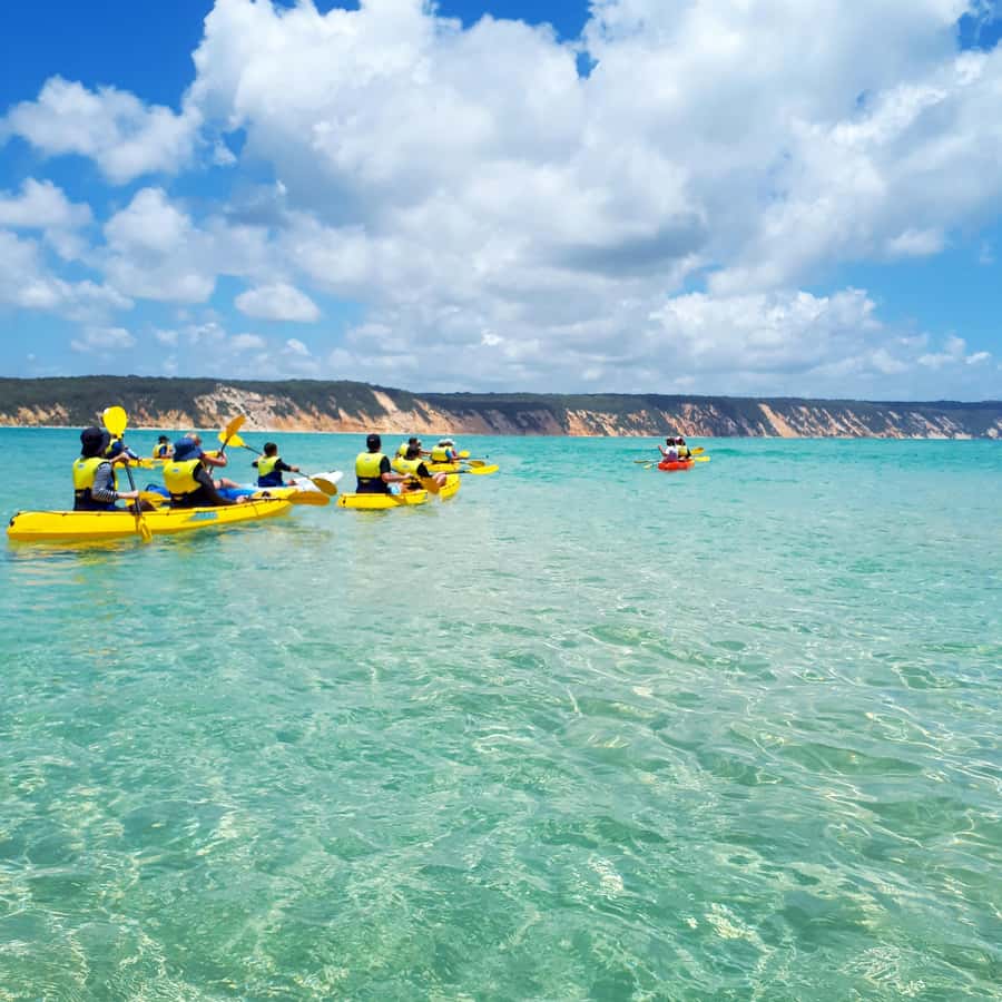 Dolphin Kayak Tour & Beach 4X4 National Park Tour (Private) - What the private format is really worth