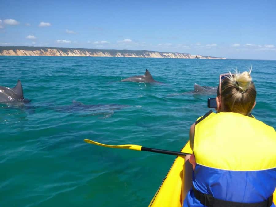 Dolphin Kayak Tour & Beach 4X4 National Park Tour (Private) - Practical booking details for Noosa visitors