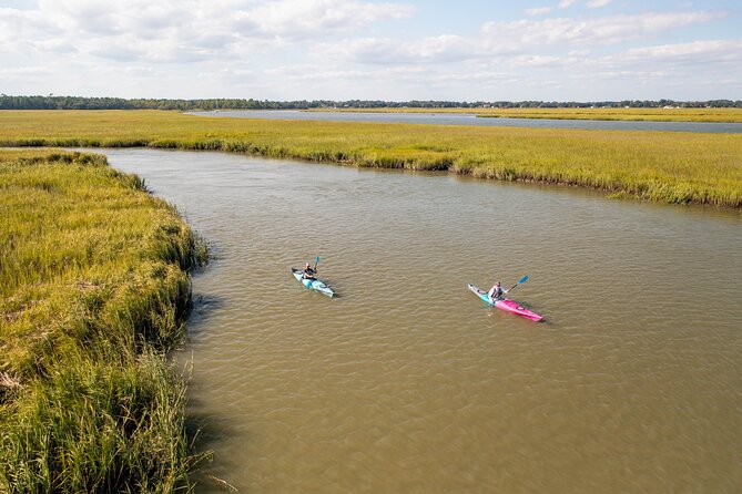 Dolphin Kayak Tour on Folly Beach - Key points to know before you paddle