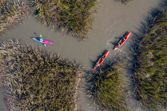 Dolphin Kayak Tour on Folly Beach - Starting at 83 Center Street in Folly Beach