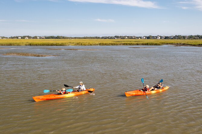 Dolphin Kayak Tour on Folly Beach - Following the river into winding creek water