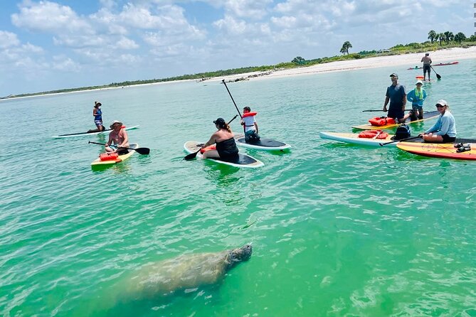 Dolphin, Manatee and Sea Turtle Adventure Tour of Bonita Springs - Who should book this paddle