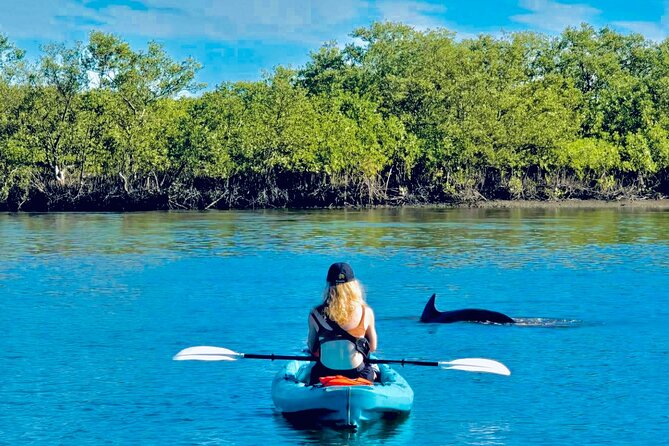 Dolphin, Manatee and Sea Turtle Kayak Adventure - Quick takeaways