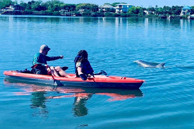Dolphin, Manatee and Sea Turtle Kayak Adventure - What this St. Augustine kayak tour is really like