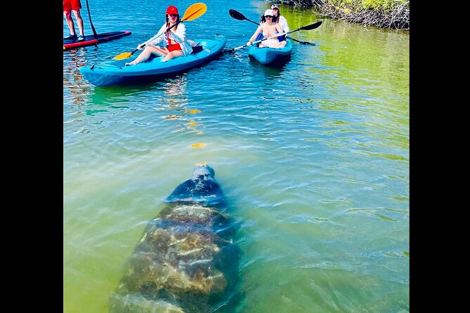 Dolphin, Manatee and Sea Turtle Kayak Adventure - The St. Augustine Lighthouse from the water
