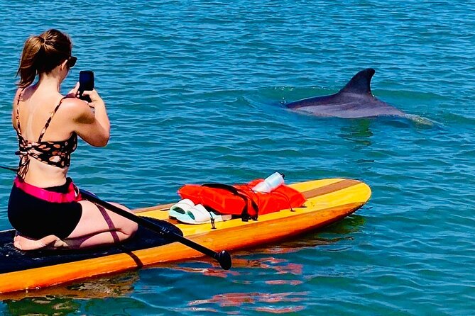 Dolphin, Manatee and Sea Turtle Kayak Adventure - What to bring and how to stay comfortable