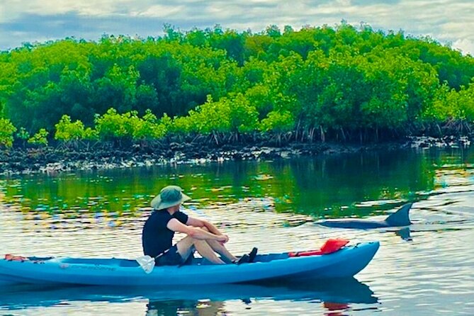 Dolphin, Manatee and Sea Turtle Kayak Adventure - Who will enjoy this two-hour outing?