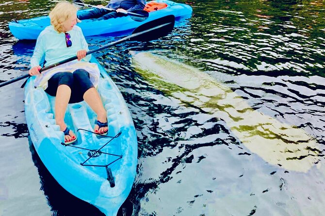 Dolphin, Manatee and Sea Turtle Kayak Adventure - Following the waterways near St. Augustine