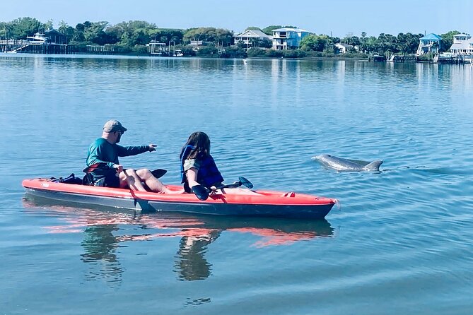 Dolphin, Manatee and SeaTurtle SUP Adventure Tour of St Augustine - Key points to know before booking