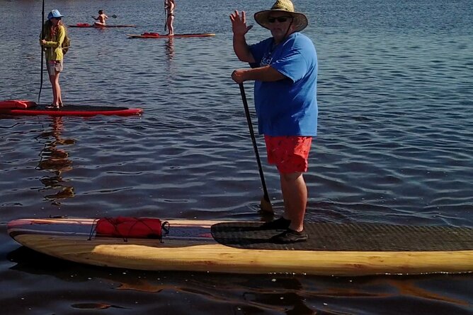 Dolphin, Manatee and SeaTurtle SUP Adventure Tour of St Augustine - Wildlife sightings: what you may and may not see