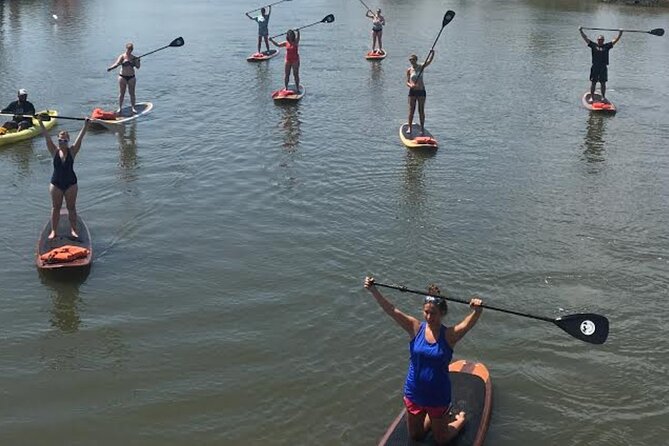 Dolphin, Manatee and SeaTurtle SUP Adventure Tour of St Augustine - Guides make the biggest difference