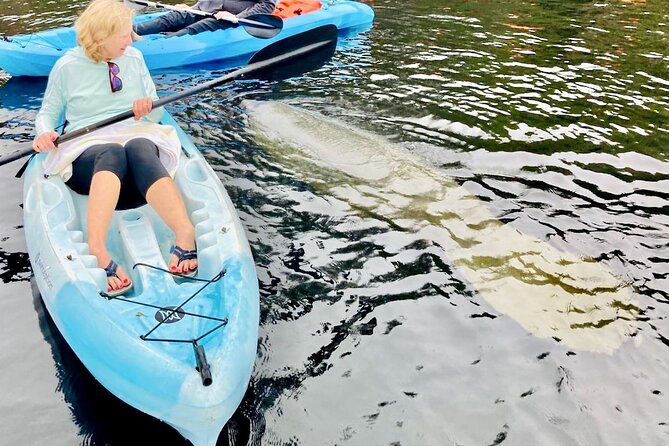 Dolphin, Manatee and SeaTurtle SUP Adventure Tour of St Augustine - Price, timing, and practical value