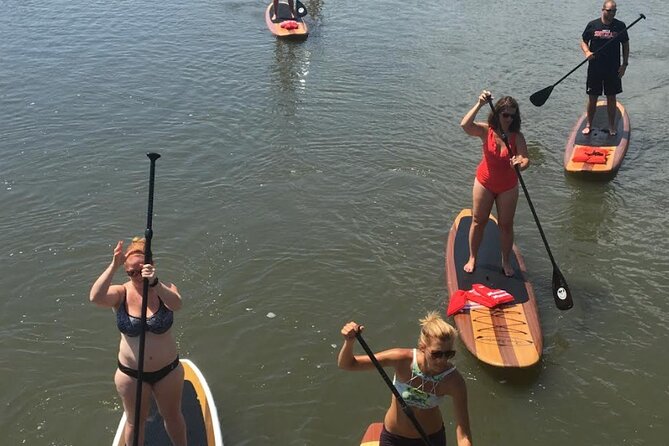 Dolphin, Manatee and SeaTurtle SUP Adventure Tour of St Augustine - Who should book this paddle?