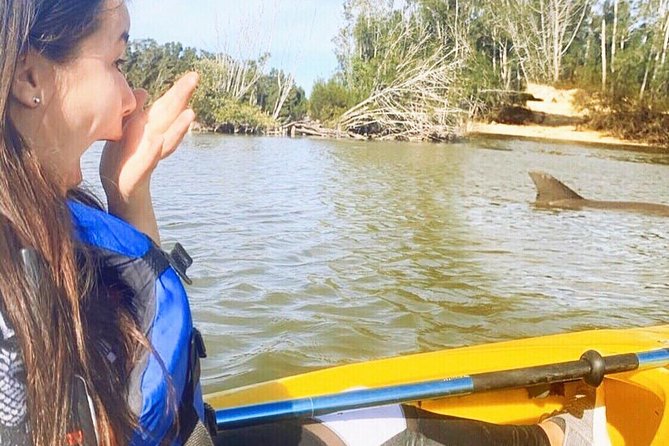 Dolphin & Manatee Kayaking Tour in Orlando Area - Key points at a glance