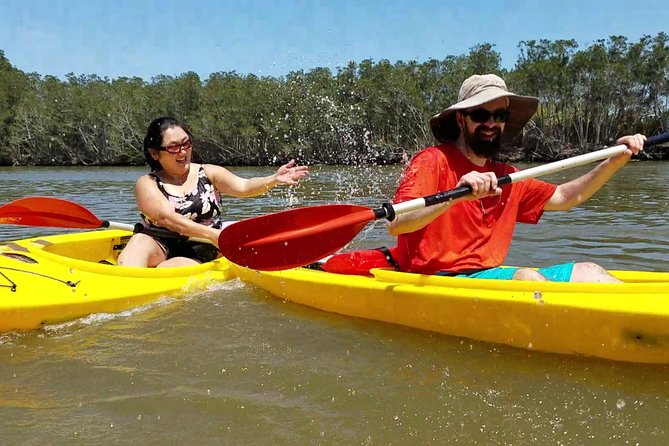 Dolphin & Manatee Kayaking Tour in Orlando Area - The 11 a.m. start or a later sunset mood