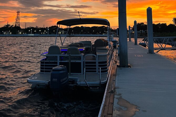 Dolphin/Manatee Pontoon Boat Tour with Local Expert - Who should book this experience
