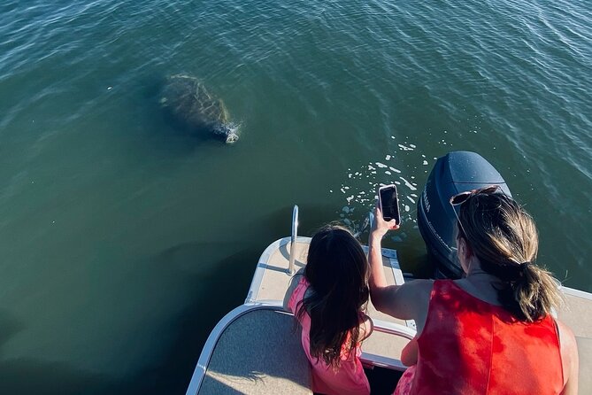 Dolphin/Manatee Pontoon Boat Tour with Local Expert - Leaving Merritt Island at 4:00 pm