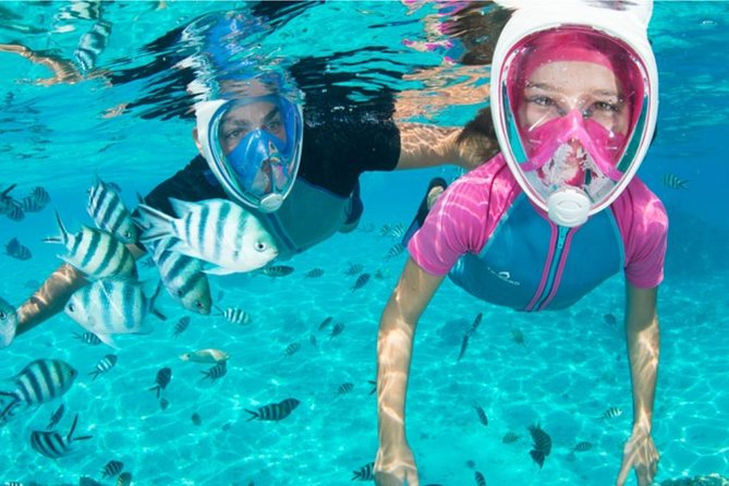 Dolphin Mini Cruise at Playa del Carmen - The swim and snorkel stop needs realistic expectations