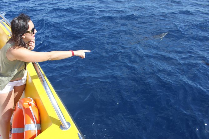 Dolphin Mini Cruise at Playa del Carmen - My verdict on the Dolphin Mini Cruise