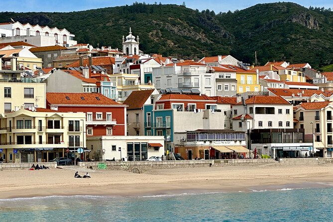 Dolphin Observation Boat Tour from Sesimbra - What the dolphin encounter may look like