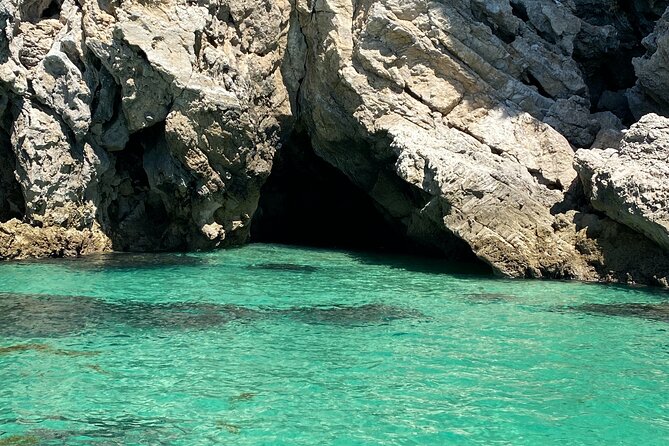 Dolphin Observation Boat Tour from Sesimbra - The guides are a major part of the experience