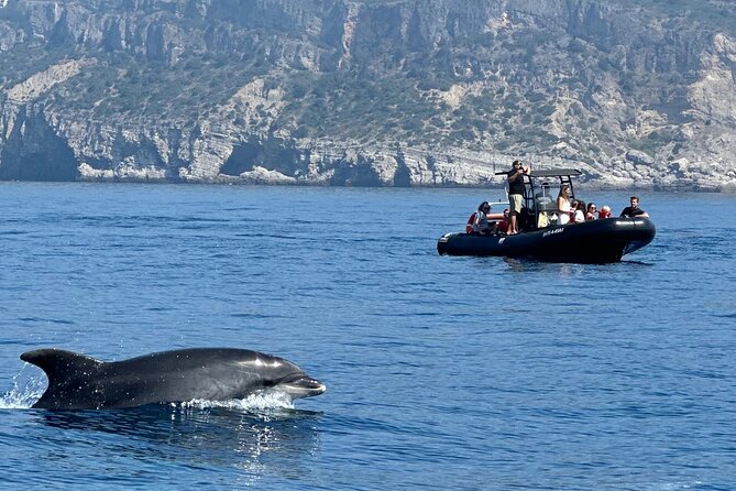 Dolphin Observation Boat Tour from Sesimbra - Following the Arrabida coast for about three hours