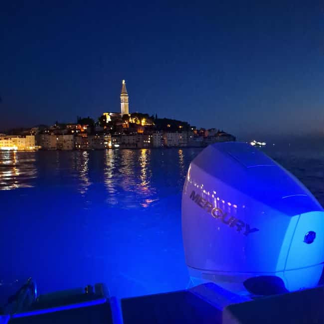 Dolphin private sunset tour Rovinj - What the private format changes