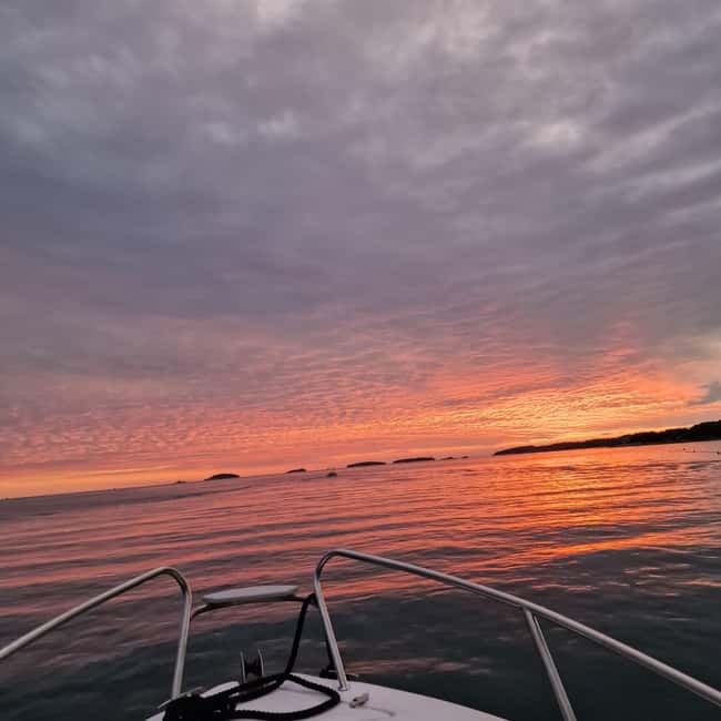 Dolphin private sunset tour Rovinj - Timing, cancellation, and simple planning advice
