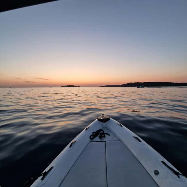 Dolphin private sunset tour Rovinj - Should you book the Dolphin Private Sunset Tour Rovinj?