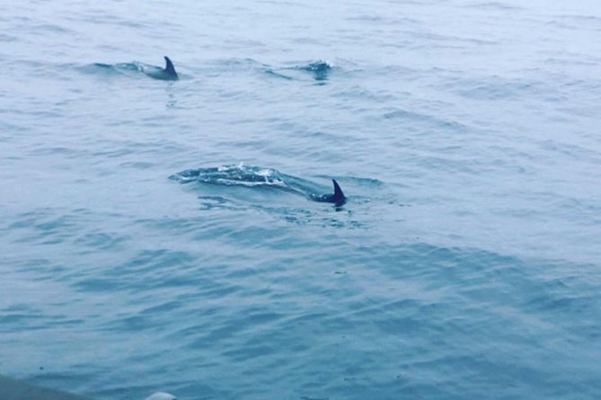 Dolphin Route - Returning Toward Areia Branca Beach