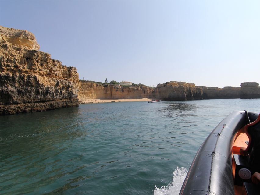 Dolphin Safari and Cave Tour in Vilamoura - Leaving from Office 5 at Vilamoura Marina