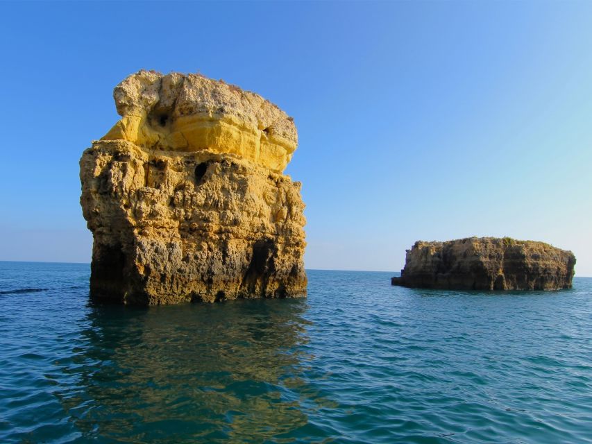 Dolphin Safari and Cave Tour in Vilamoura - Is $47 good value for two hours?