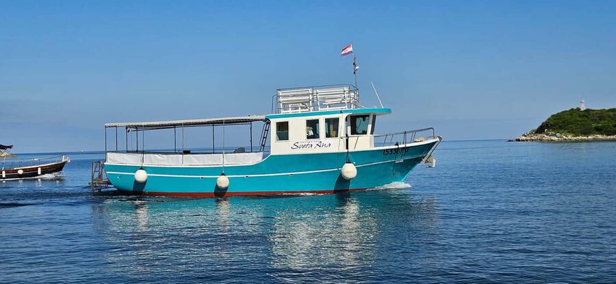 Dolphin Safari Boat Trip from Marina Funtana - Setting out from Funtana marina on Sveta Ana