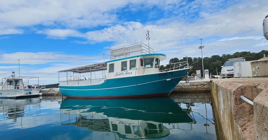 Dolphin Safari Boat Trip from Marina Funtana - The small-boat question