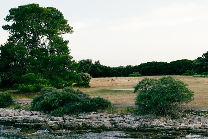 Dolphin Safari in Fažana - Mali Brijun, the summer theater, and the sunset