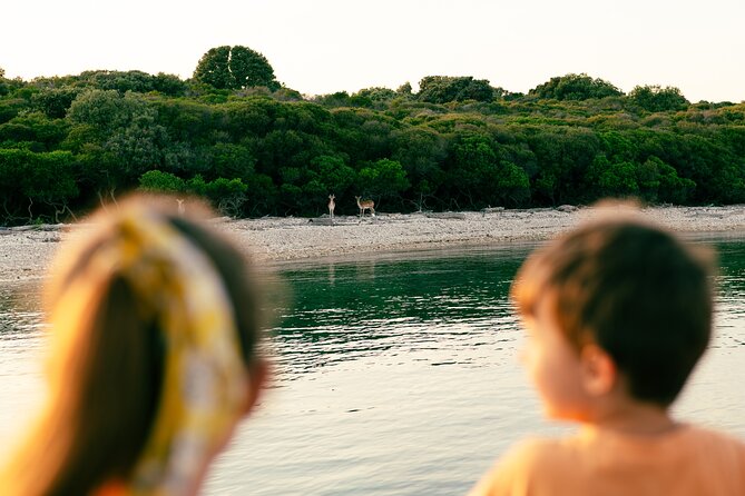Dolphin Safari in Fažana - Veliki Brijun, protected waters, and old Roman remains