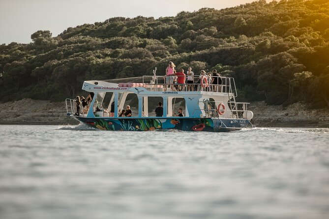 Dolphin Safari in Fažana - Is $42.33 a fair price?